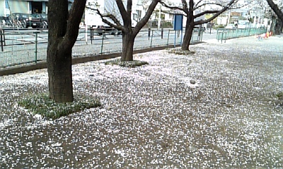 ３本.JPG