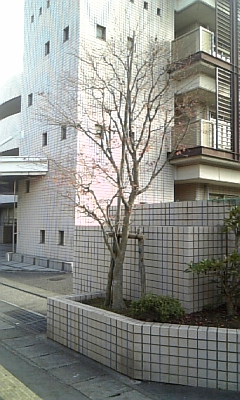 071206ﾌﾞﾛｸﾞ用写真d.jpg