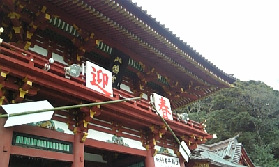 080113迎春.jpg