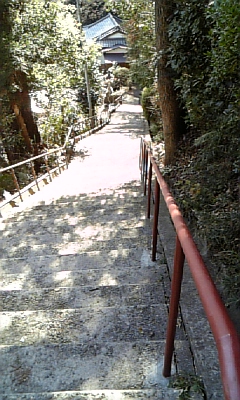 080128ﾌﾞﾛｸﾞ写真 階段５.jpg