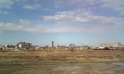 080205ﾌﾞﾛｸﾞ写真 0005.jpg