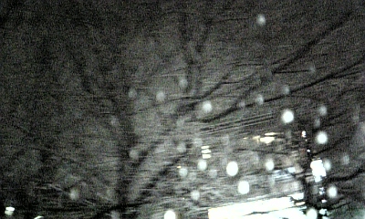 080210ﾌﾞﾛｸﾞ写真 0003.jpg