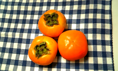081019 001.JPG