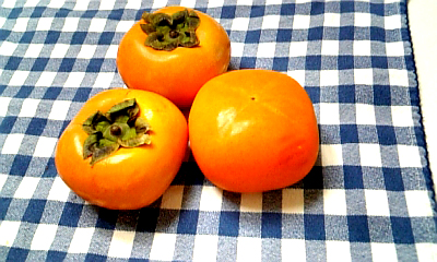081019 002.JPG