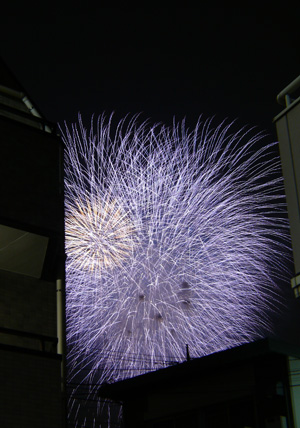 10.07.25_051.jpg