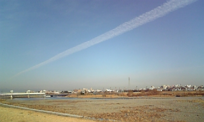 2009 01 08 002.JPG