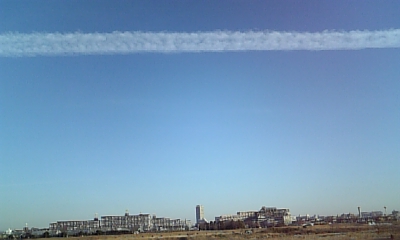 2009 01 08 003.JPG