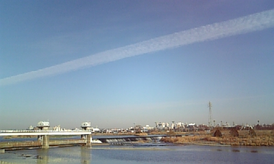 2009 01 08 006.JPG