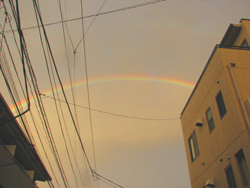 Rainbow_9316.jpg