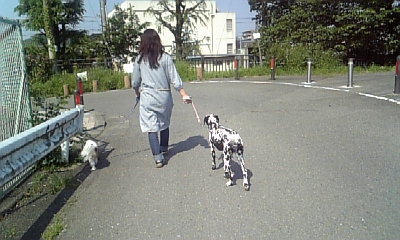 お散歩VC00002.JPG