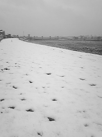 100218_雪景色2.jpg