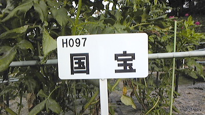 13_国宝看板.jpg