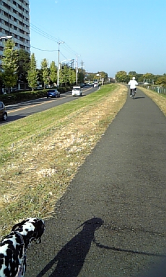 2008 11 17 006.JPG