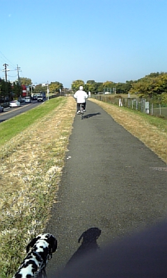 2008 11 17 007.JPG