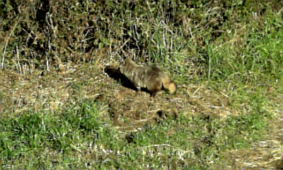 2008 11 23 004.JPG