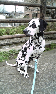 D00004.JPG