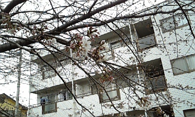 D00006.JPG