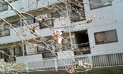 DVC1.JPG