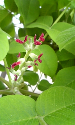 cDVC00005.jpg