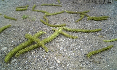 eDVC00011.JPG