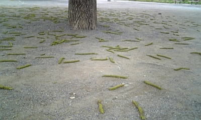 fDVC00012.JPG