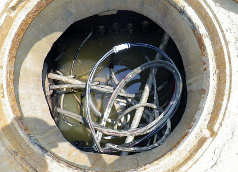 2010_06_14_3.jpg