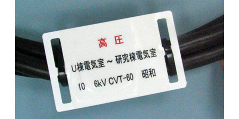 77X44_480_8_0613.jpg
