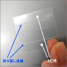 菇4